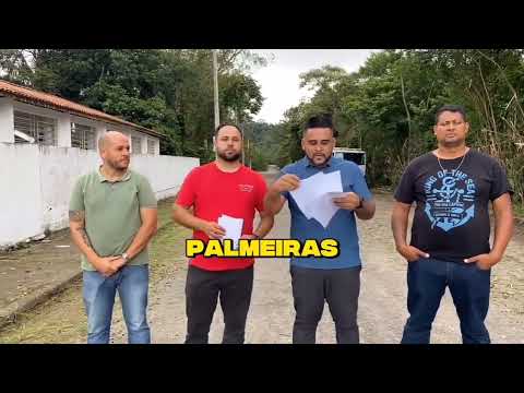 VEM AI A CRECHE DA PALMEIRA
