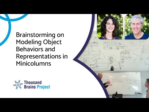 2025/02 - Brainstorming on Modeling Object Behaviors and Representations in Minicolumns