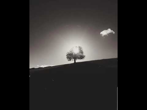 Sabat fericit! - Perfect peace