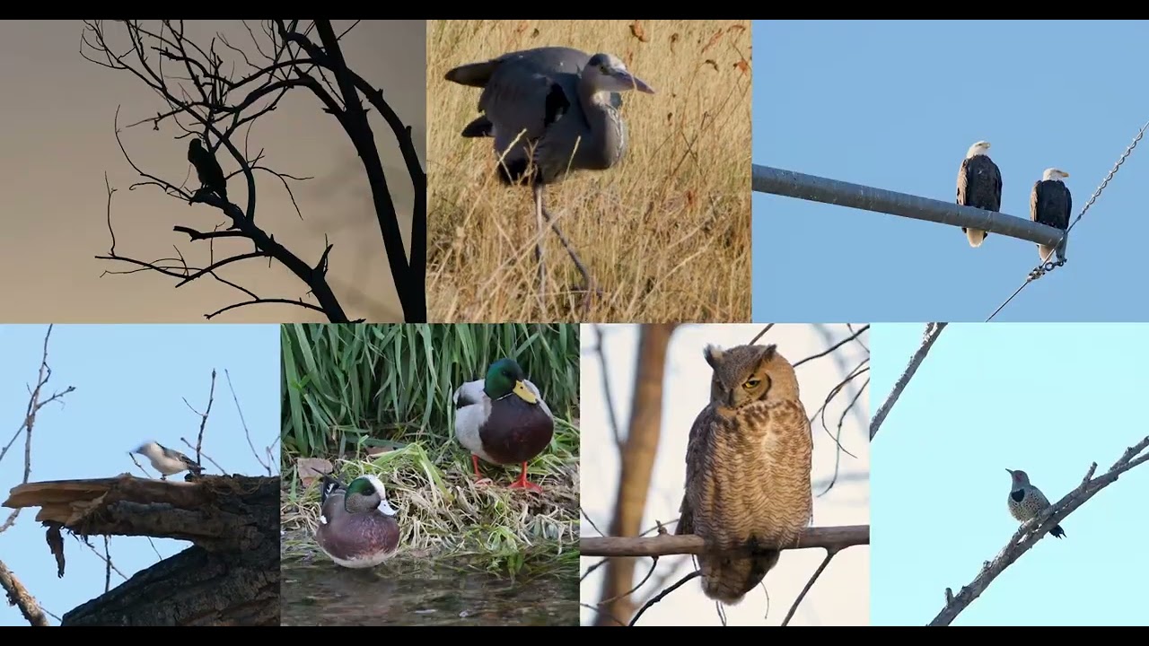 Environmental Learning Center Overview