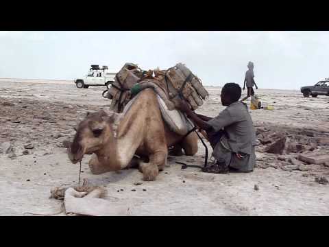 Loading Salt Caravan