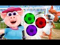 Jugamos Al Fútbol Con Balones De Colores Bataraza Vs Beto Y Más Diversión La Granja De Zenón