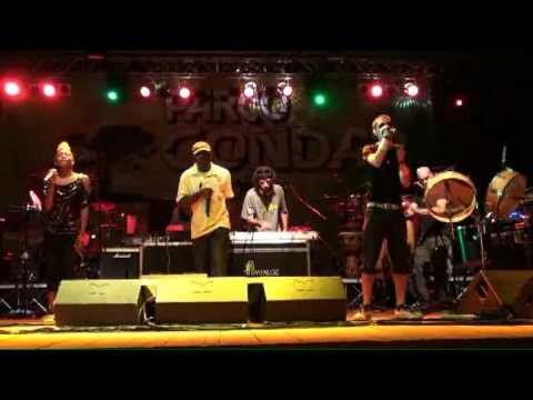 Hi Life Connection in Salento - Hold On