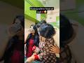Kissing Prank On Wife In Front Of Saali Sahiba Shorts Kiss Viral Short