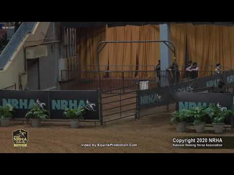 Step N Past Ya shown by Gina-Maria Schumacher - 2020 NRHA Futurity (NP Finals, Sec. 2)