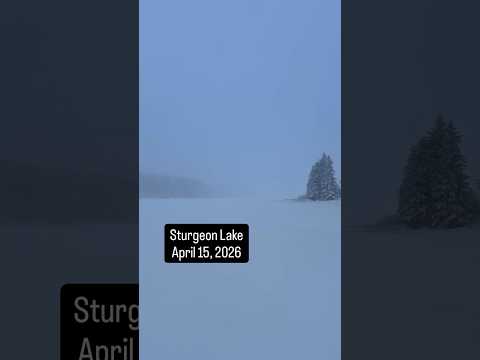 Sturgeon Lake Sask - April 15, 2026