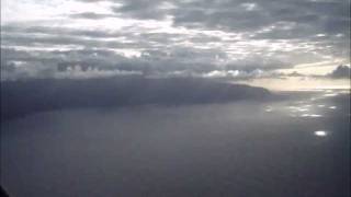 Amon Düül II - Hawknose Harlequin