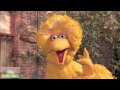Big Bird Afroman Because I Got High