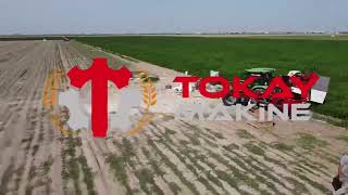 New Tokay Makine carrot harvester | Image 4 - Agroline