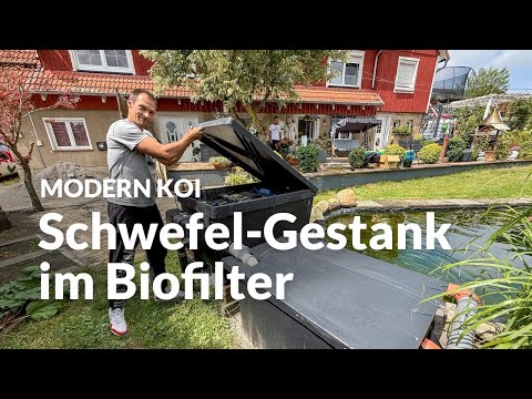 Christians Filtermix aus Oase und DIY | Modern Koi Blog #7955