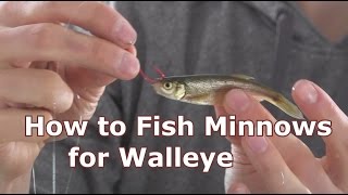 Walleye Fishing with Minnows - How To Hook and Jig Live Bait