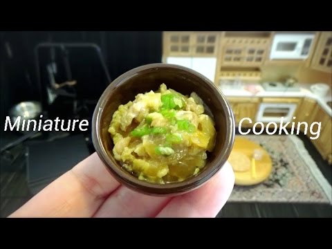 Real Food Miniature #35-ミニチュア料理-『Chicken and eggs bowl-親子丼-』Cooking show ミニチュアクッキング 雏形菜 Video
