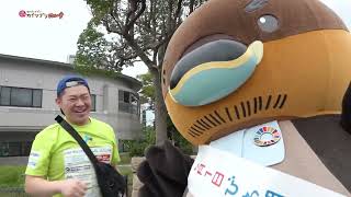2026/10/12放送・知ったかぶりカイツブリにゅーす