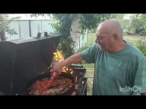 Fin de Año 25 en El Maitén 