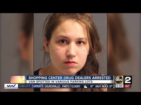 Shopping center drug dealers arrested