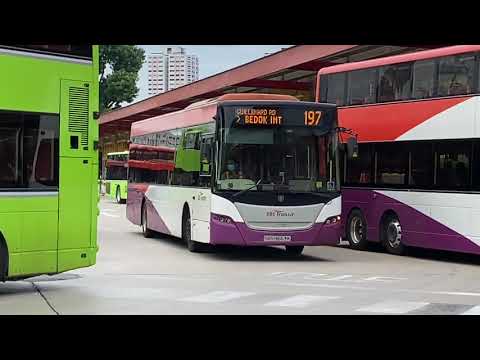 SBST Scania K230UB Euro 5 - SBS8663K on Route/Service 197