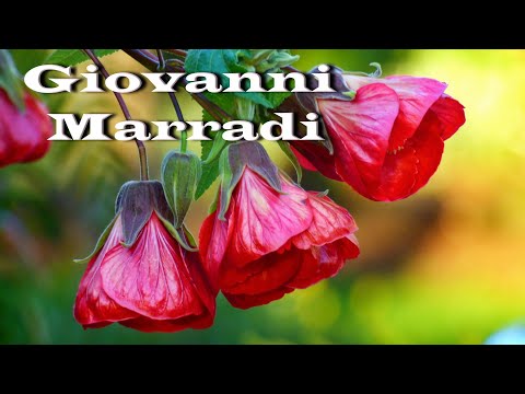 ♫ Джованни Марради -  Лучшее ♫ Giovanni Marradi -  The best ♫ (Beautiful flowers)