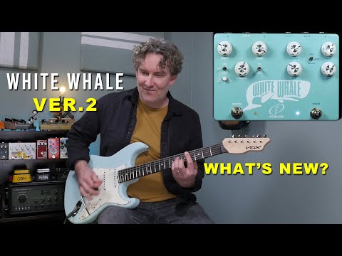 Crazy Tube Circuits White Whale V2 Spring Reverb/Tremolo image 9