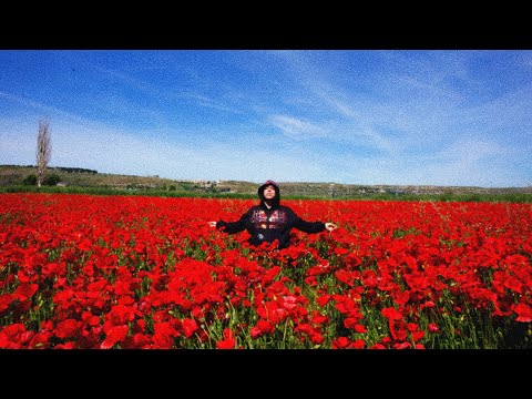 Nevo Angel - In My Head (Video Oficial)