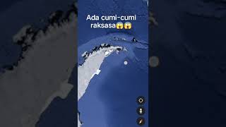 Download lagu ada cumi-cumi raksasa😱😱 mp3