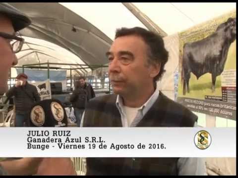 19-08-16 Nota Julio Ruiz - Cabaña Tres Marìas - Bunge.