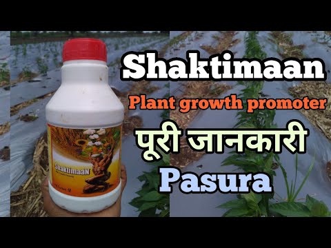 Shaktimaan pgr (5 ltr)