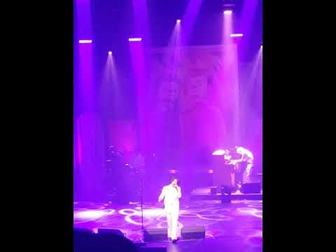 190413 [잔나비 전국투어 콘서트 '투게더' - 전주] 잔나비(jannabi) - She @한국소리문화의전당 모악당