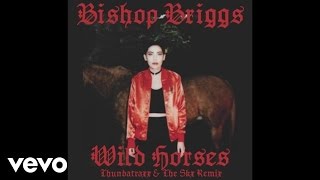 Bishop Briggs - Wild Horses (Thundatraxx &amp; The SKX Remix / Audio)