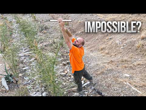 2 Years of Building a Desert Forest