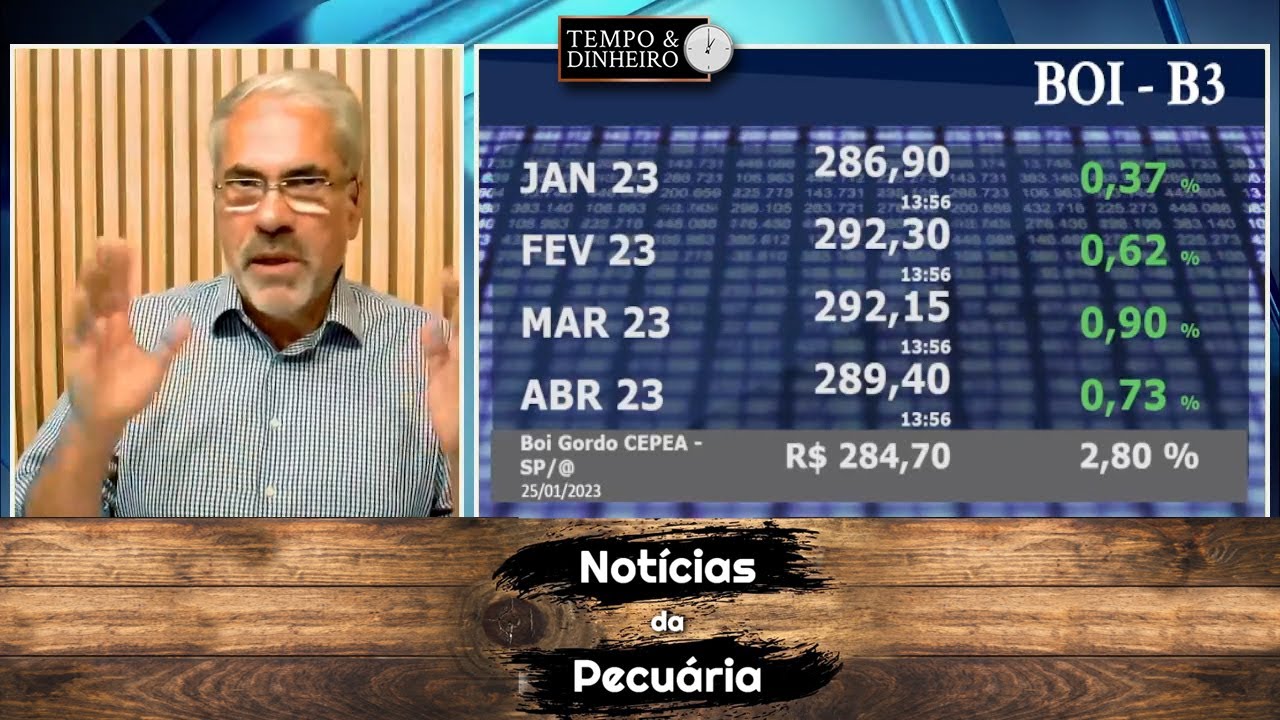 Boi gordo amplia diferença de preço com vaca em Mato Grosso