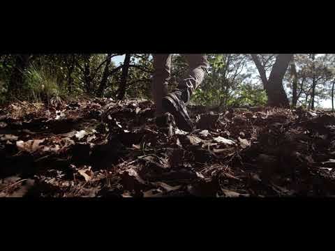 Warnaplus Intro Cinematic