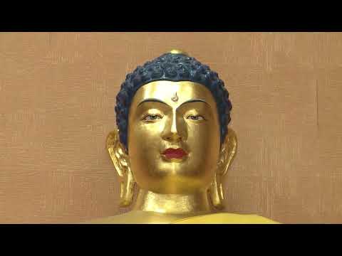 «Өрүнә һарц» от 23.08.2022.