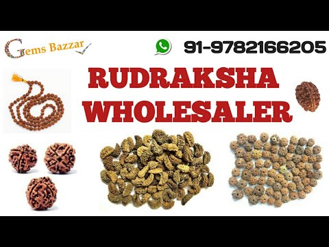 Half moon brown 1 mukhi rudraksha bead with lab certificate,...