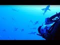 Filming Sharks In Protected French Polynesian Waters Blue Planet II Behind The Scenes