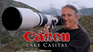 Going back to Canon's original R5  - wildlife photography at Lake Casitas. Still a beast!!!