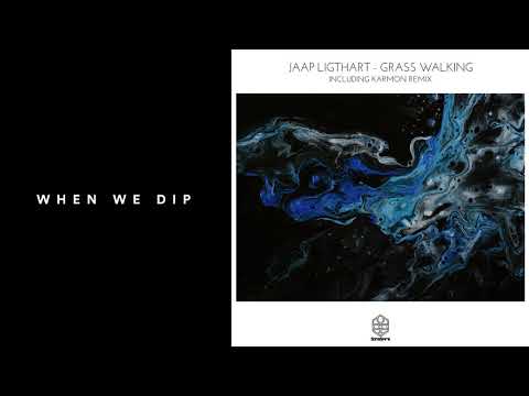 Premiere: Jaap Ligthart - Grass Walking (Karmon Remix) [Songspire Records]