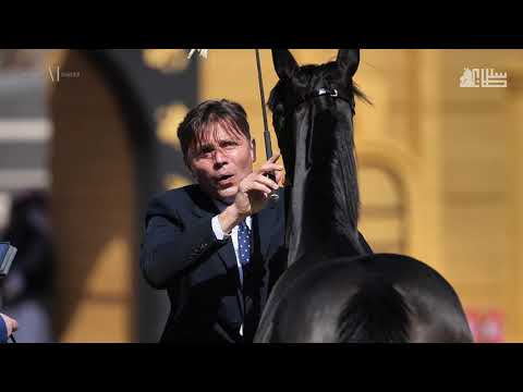 🇸🇦 PSAIAHF Title Show, Day 1