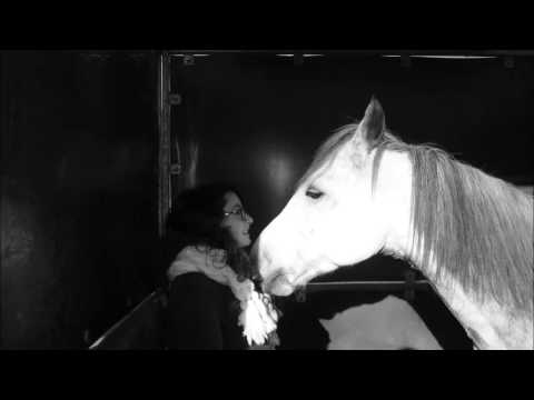 joellelovedante’s Video 44482132086 TzYte_rbLmI