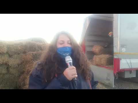 Generico luglio 2022