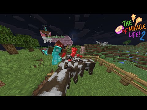 Farming Around | The Miracle Of Life S2 #3