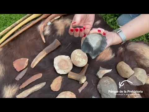 Imagen Demostración de caza con propulsor