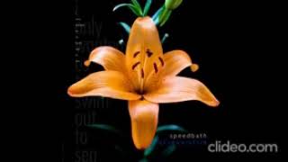 Kristin Hersh - Static