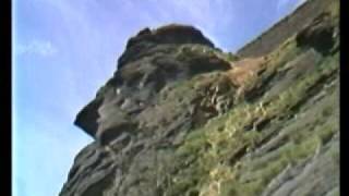 section 25 - new horizon