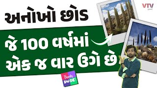 article-logo