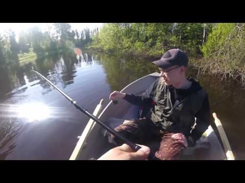 Maanantai- aamu kalassa