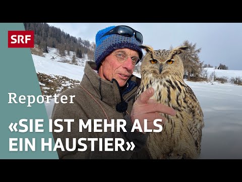 Der Mann mit dem Vogel - Ein Schweizer Hobby-Ornithologe und seine Eule | Reporter | SRF