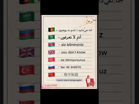 Chinese, Russian, Turkish, English, Azerbaijani, Arabic, Afghani (Dari-Pushtu) languages.