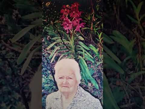 luciano hortencio compartilha ensinamento de sua mãe