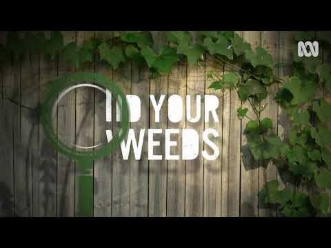 Foraging with Diego Bonetto