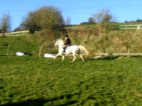 me N Charlie test Drive . x